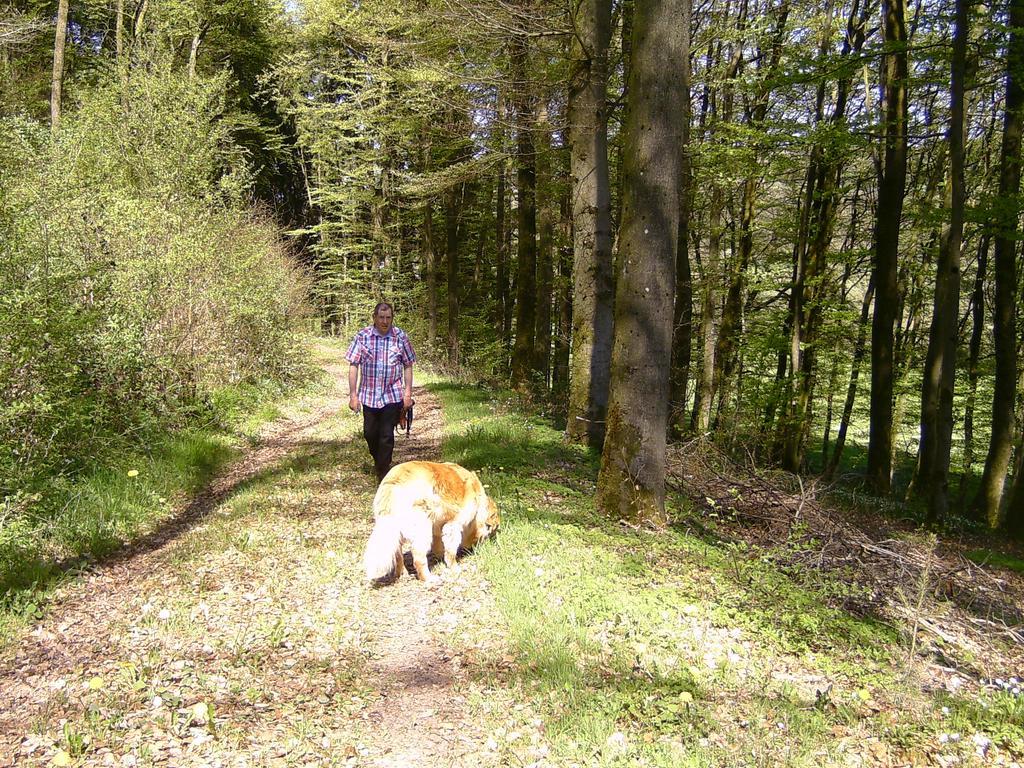Landferien Eifel Apartment Pittenbach Luaran gambar