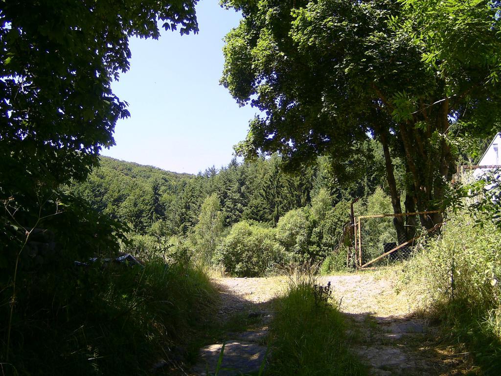 Landferien Eifel Apartment Pittenbach Luaran gambar